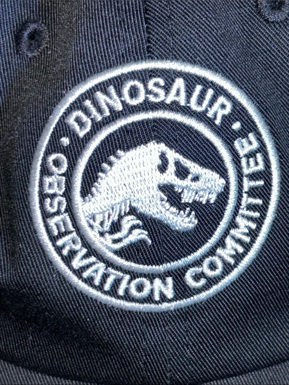 KIDS Universal Studios Japan Jurassic Park Dinosaur 🦖 Baseball Cap